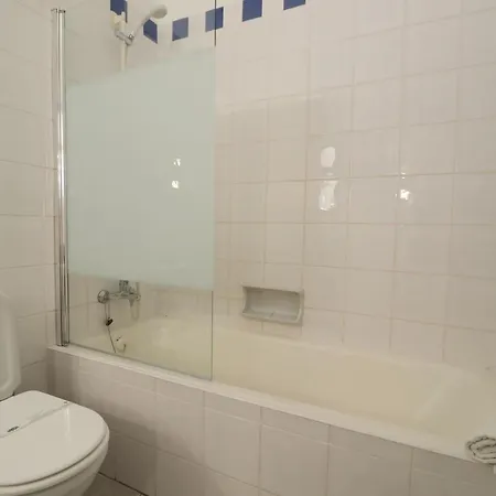 Camélia 67 At São Rafael -