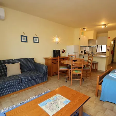 Camelia 67 At Sao Rafael -