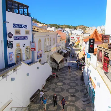 Camelia 67 At Sao Rafael - *