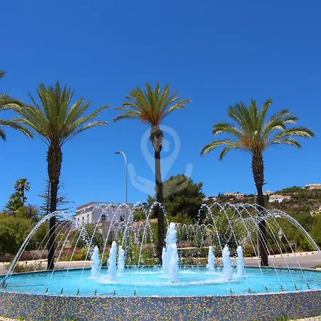 Camelia 67 At Sao Rafael - *