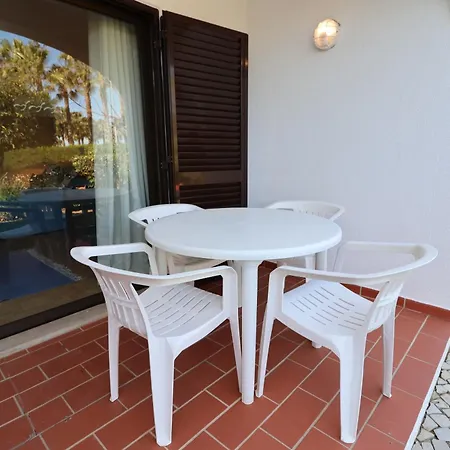 Camelia 67 At Sao Rafael - *