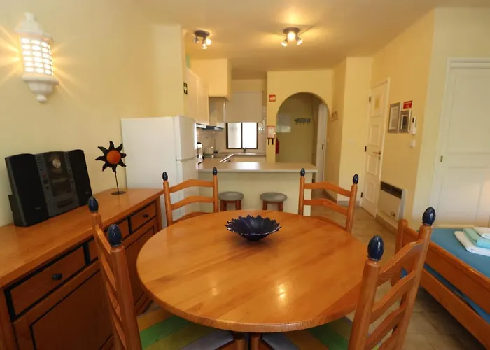 Camélia 67 At São Rafael - *