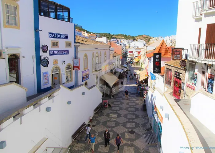 Camélia 67 At São Rafael - *